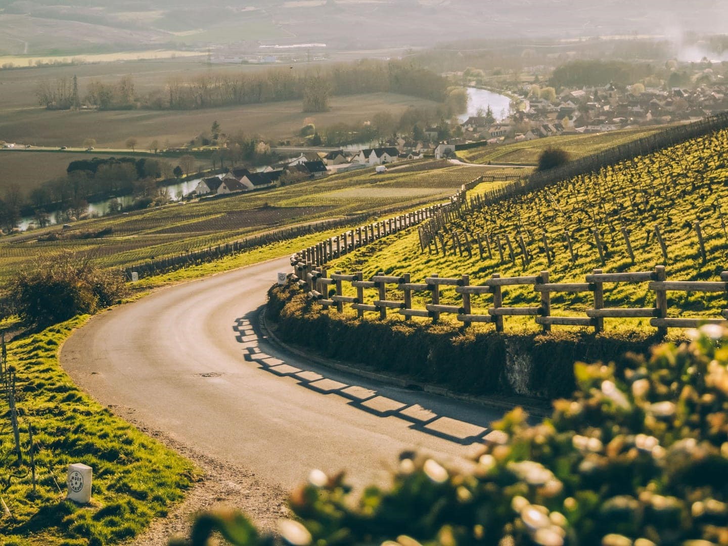 Country road through vineyards with a village in the distance